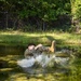 Cpls School class 6-25 conducts confidence course