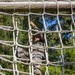 Cpls School class 6-25 conducts confidence course