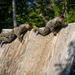 Cpls School class 6-25 conducts confidence course