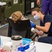 Operation Healthy Tennessee