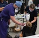 Operation Healthy Tennessee