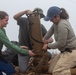 Recovery Mission in the Socialist Republic of Vietnam
