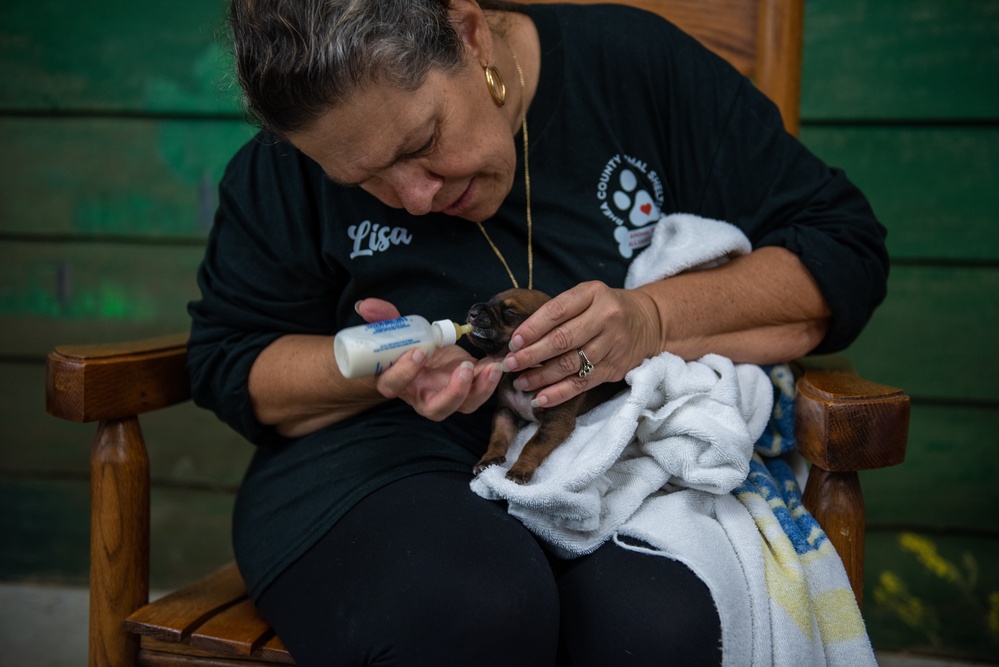 Operation Healthy Tennessee - Veterinary Services