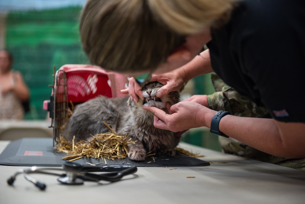Operation Healthy Tennessee - Veterinary Services
