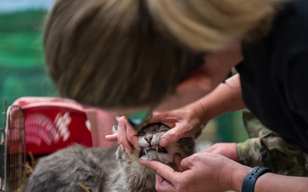 Operation Healthy Tennessee - Veterinary Services