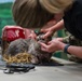 Operation Healthy Tennessee - Veterinary Services