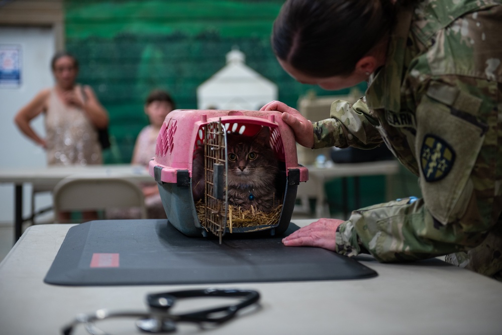 Operation Healthy Tennessee - Veterinary Services