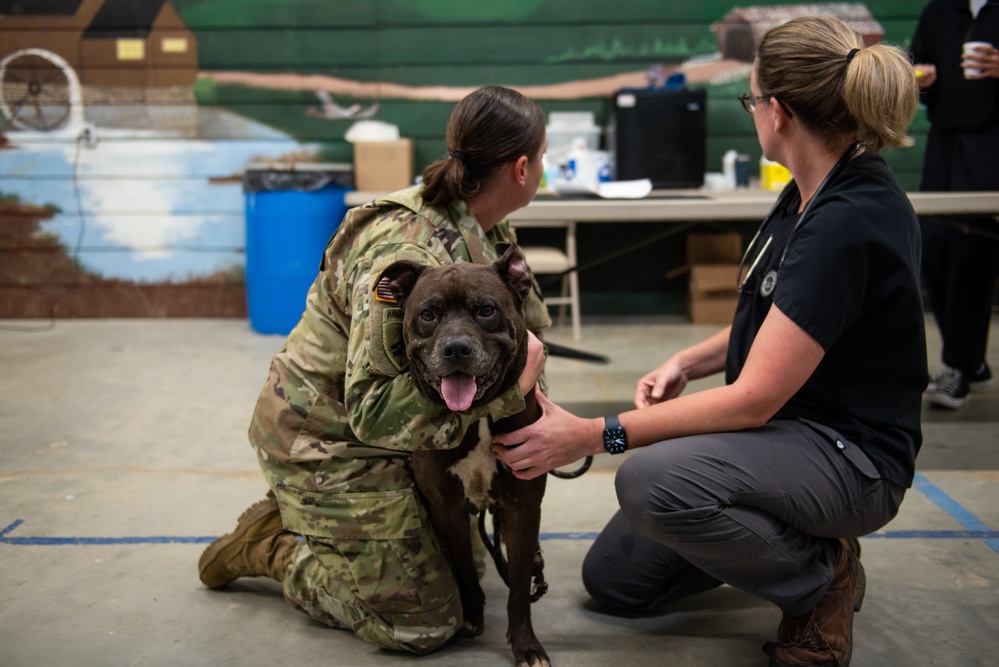 Operation Healthy Tennessee - Veterinary Services