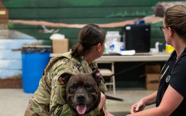 Operation Healthy Tennessee - Veterinary Services