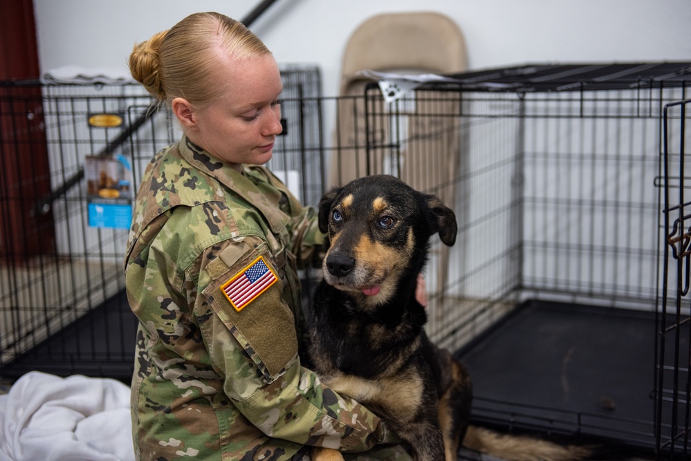 Operation Healthy Tennessee - Veterinary Services