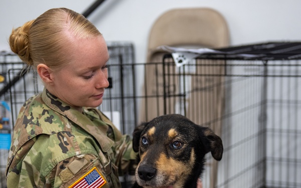 Operation Healthy Tennessee - Veterinary Services