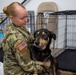 Operation Healthy Tennessee - Veterinary Services