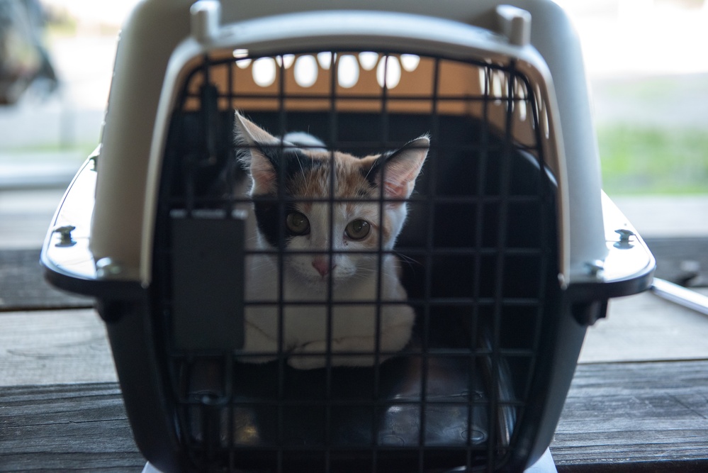 Operation Healthy Tennessee - Veterinary Services