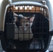 Operation Healthy Tennessee - Veterinary Services
