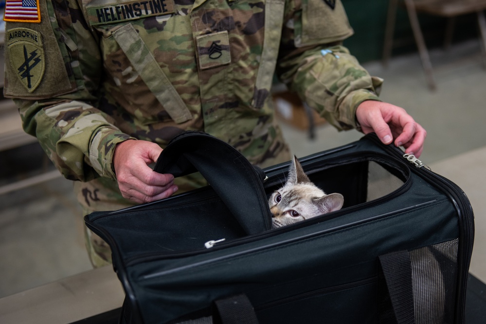 Operation Healthy Tennessee - Veterinary Services
