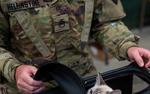 Operation Healthy Tennessee - Veterinary Services