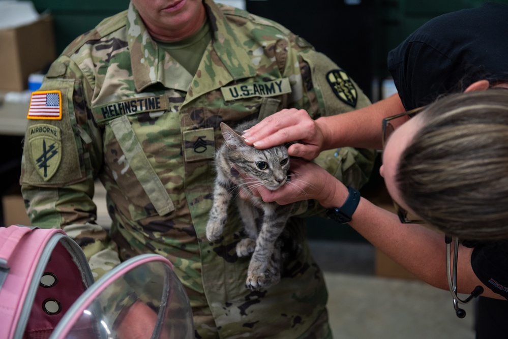 Operation Healthy Tennessee - Veterinary Services