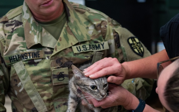 Operation Healthy Tennessee - Veterinary Services