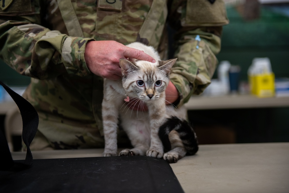 Operation Healthy Tennessee - Veterinary Services