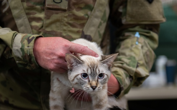 Operation Healthy Tennessee - Veterinary Services