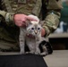 Operation Healthy Tennessee - Veterinary Services