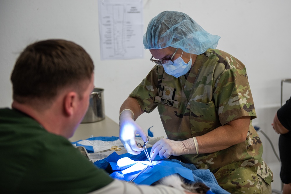 Operation Healthy Tennessee - Veterinary Services
