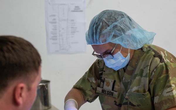 Operation Healthy Tennessee - Veterinary Services