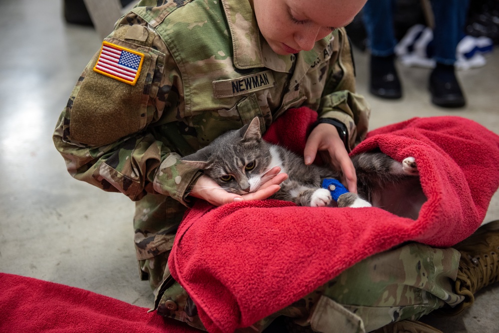 Operation Healthy Tennessee - Veterinary Services