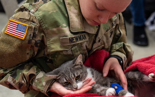 Operation Healthy Tennessee - Veterinary Services