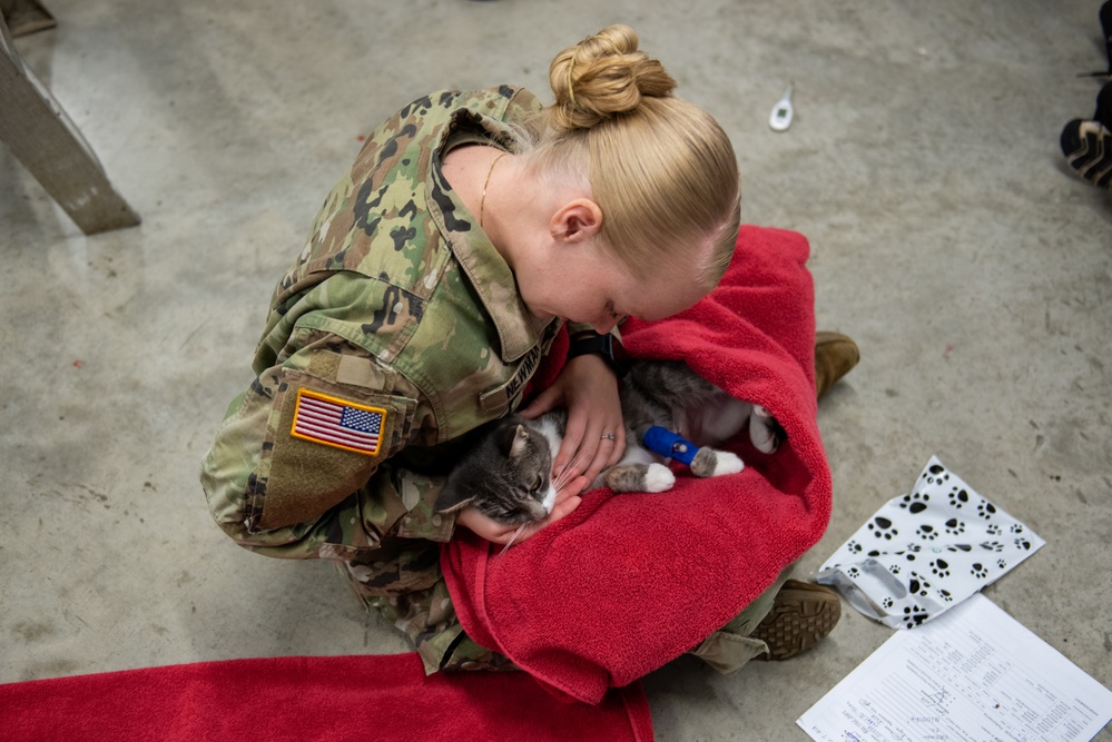 Operation Healthy Tennessee - Veterinary Services