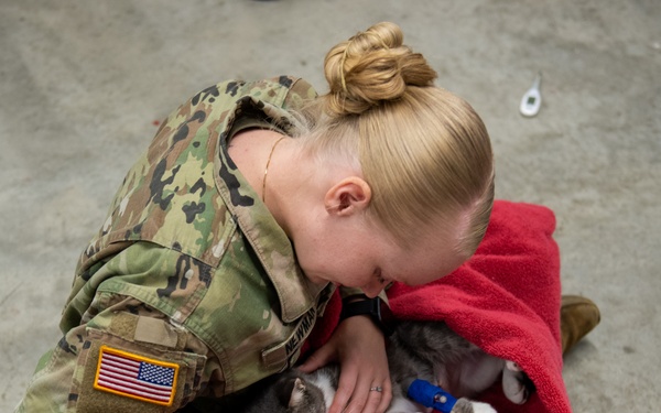 Operation Healthy Tennessee - Veterinary Services