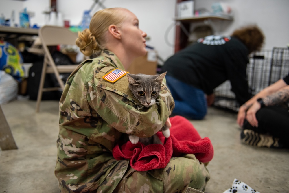 Operation Healthy Tennessee - Veterinary Services