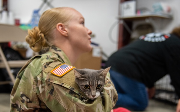 Operation Healthy Tennessee - Veterinary Services