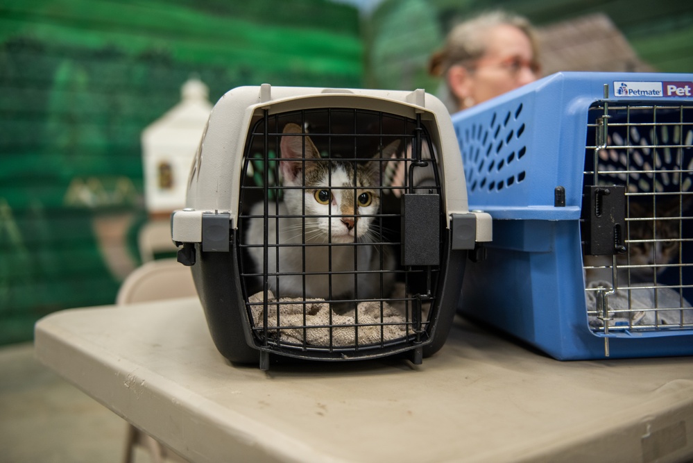 Operation Healthy Tennessee - Veterinary Services