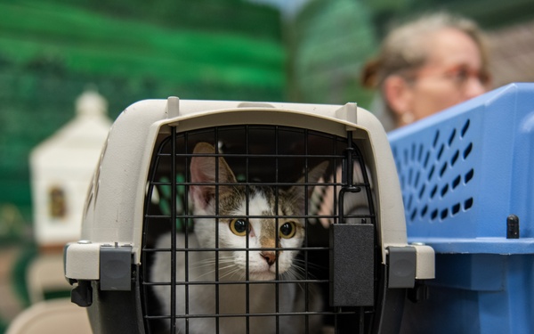 Operation Healthy Tennessee - Veterinary Services