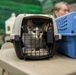 Operation Healthy Tennessee - Veterinary Services