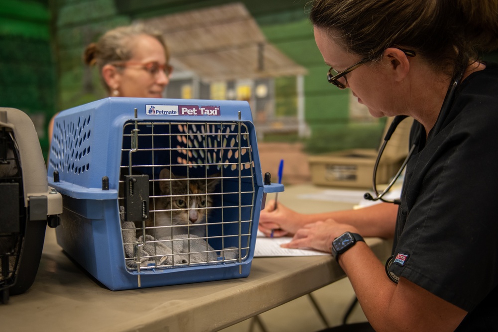 Operation Healthy Tennessee - Veterinary Services