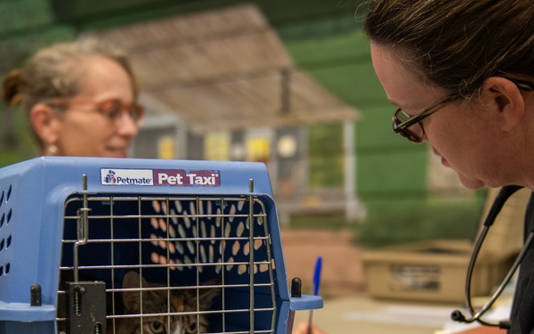 Operation Healthy Tennessee - Veterinary Services