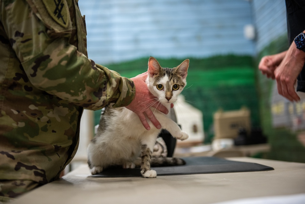 Operation Healthy Tennessee - Veterinary Services