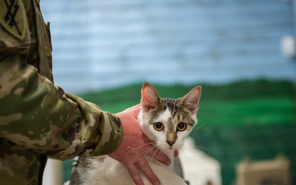 Operation Healthy Tennessee - Veterinary Services