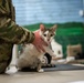 Operation Healthy Tennessee - Veterinary Services