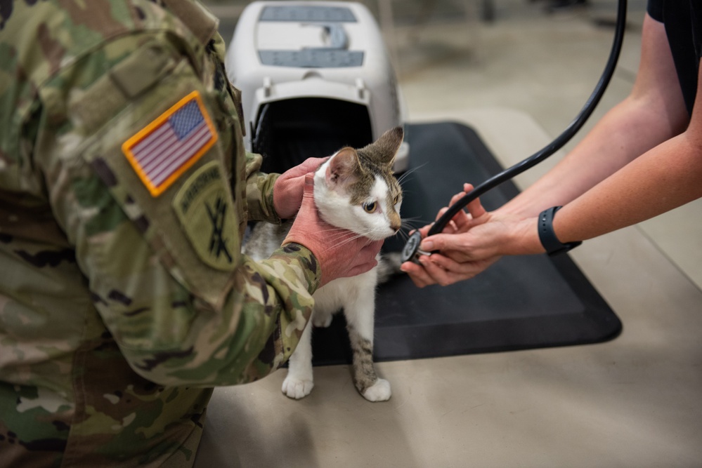 Operation Healthy Tennessee - Veterinary Services