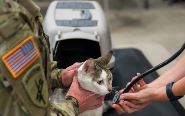 Operation Healthy Tennessee - Veterinary Services