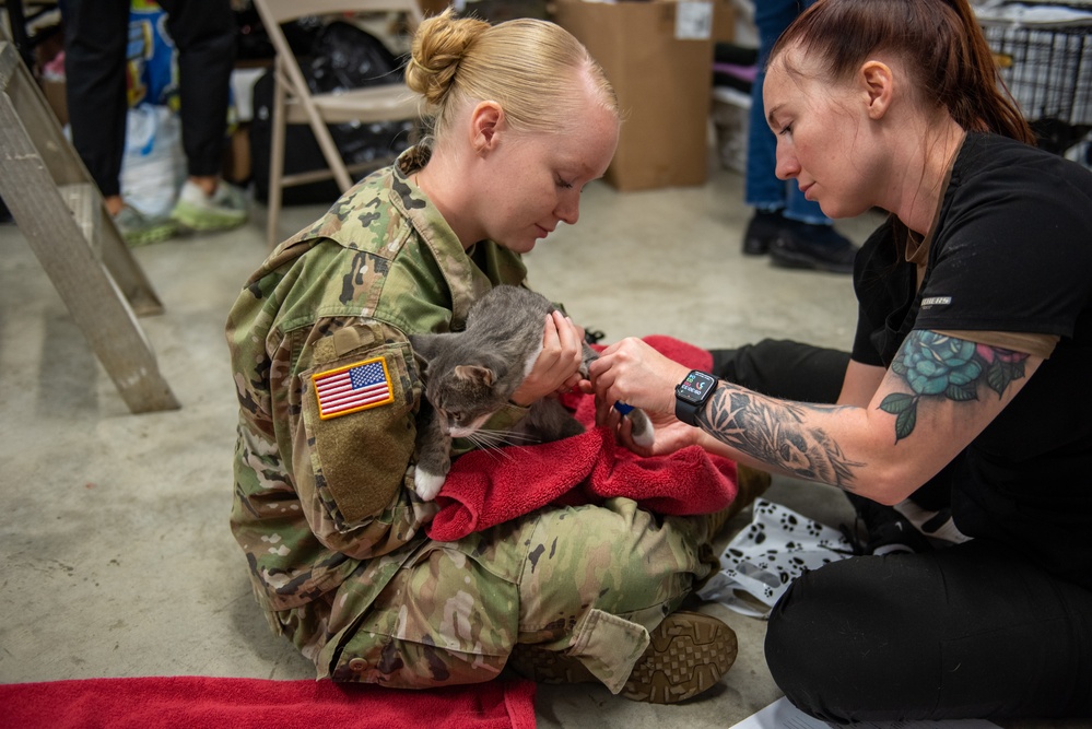 Operation Healthy Tennessee - Veterinary Services