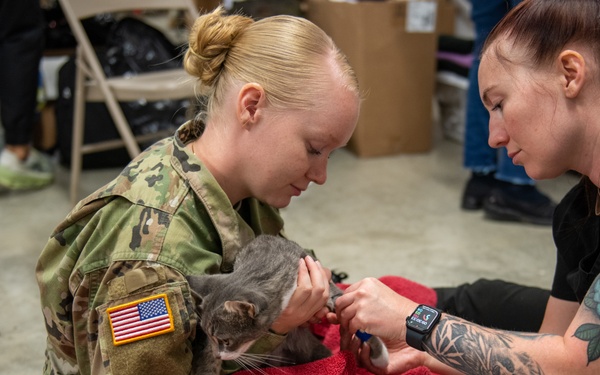 Operation Healthy Tennessee - Veterinary Services