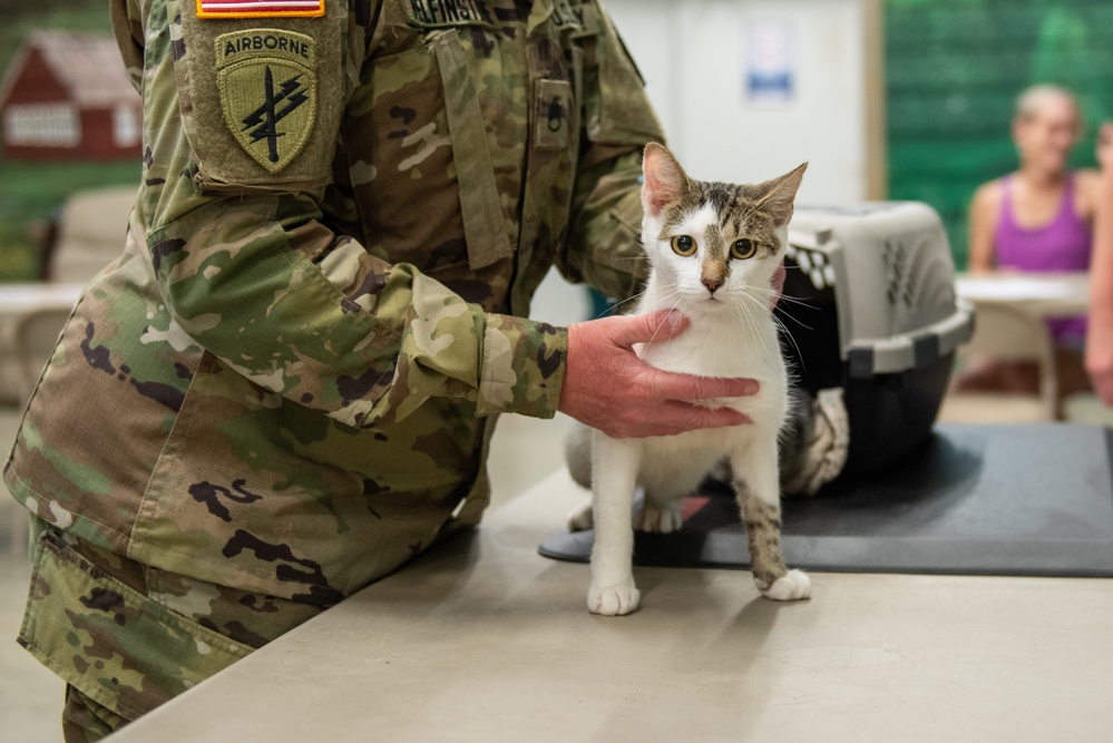 Operation Healthy Tennessee - Veterinary Services