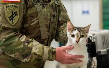 Operation Healthy Tennessee - Veterinary Services