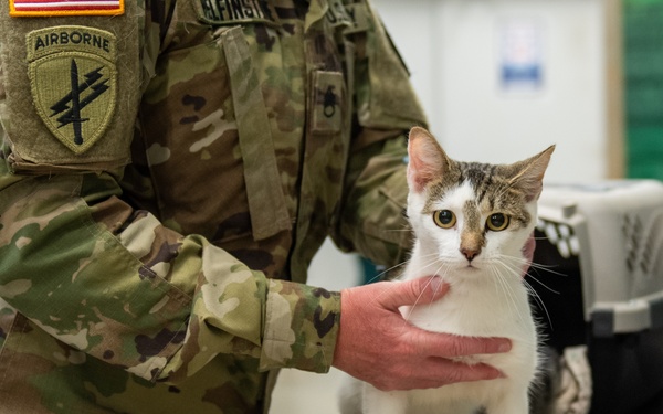 Operation Healthy Tennessee - Veterinary Services