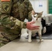 Operation Healthy Tennessee - Veterinary Services