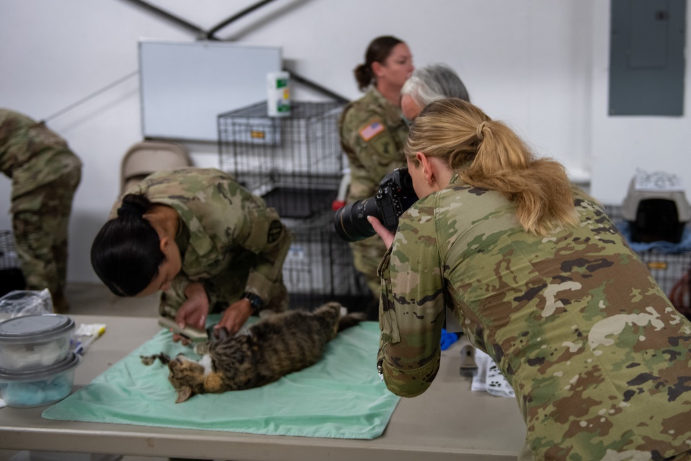 Operation Healthy Tennessee - Veterinary Services